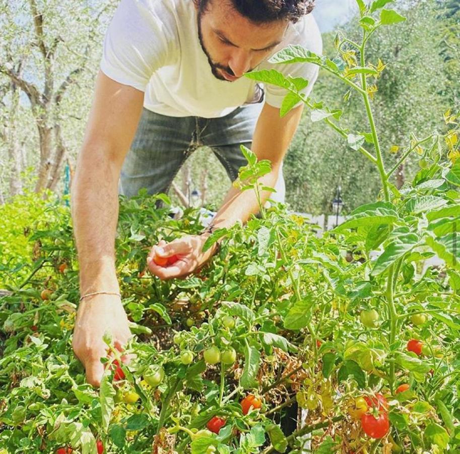 Shanti Vieste Dış mekan fotoğraf